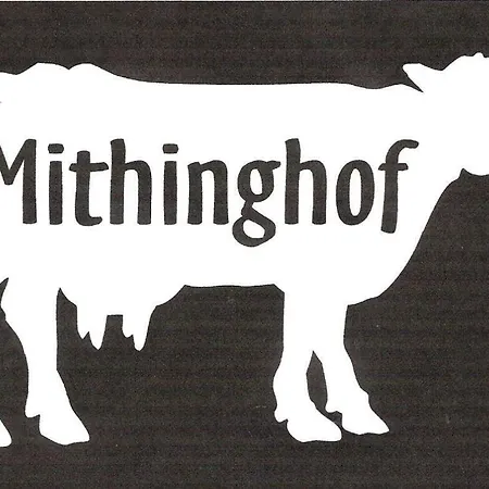Der Mithinghof 公寓 Kotzenbull