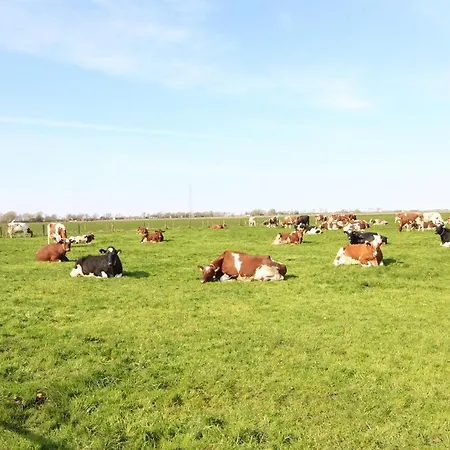 公寓 Der Mithinghof *